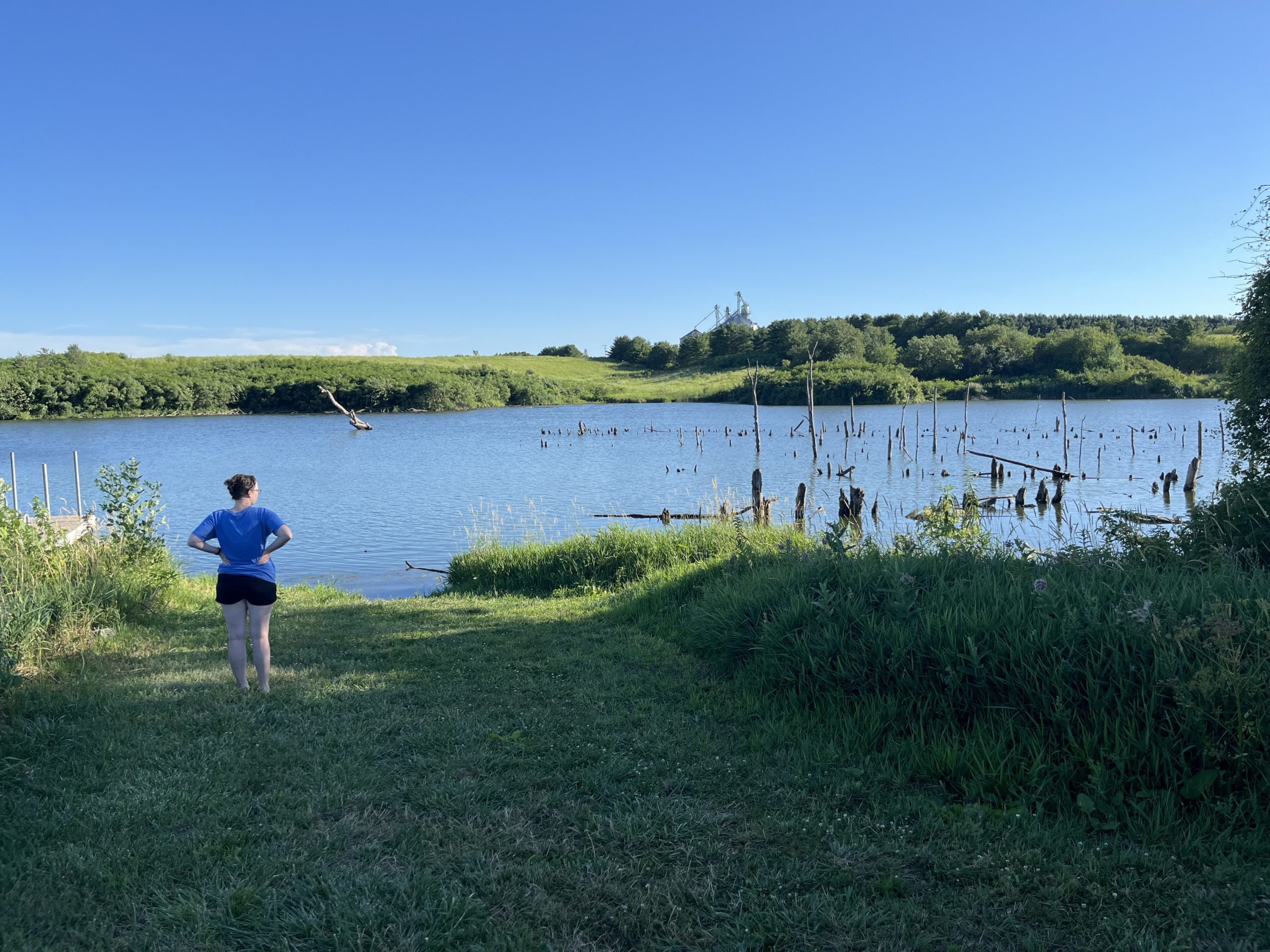 Lost Grove Lake WMA Eldridge, Iowa Free Camping Near You