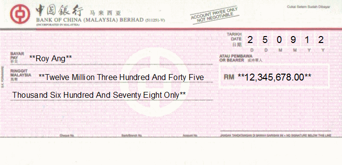Professional Cheque Printing Examples