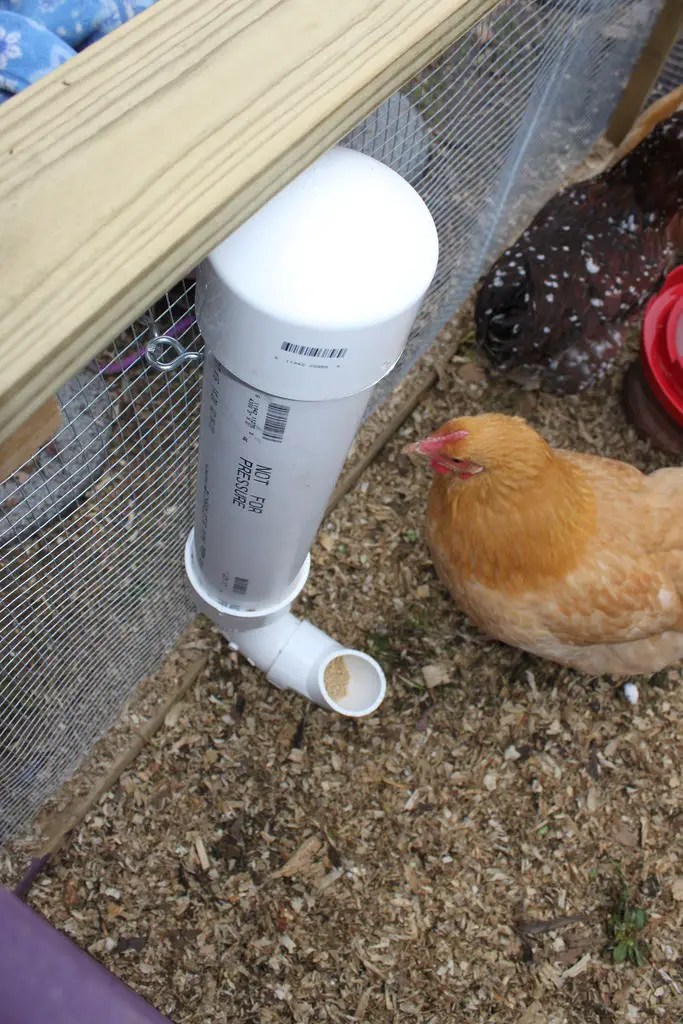 PVC feeder Free Chicken Coop Plans