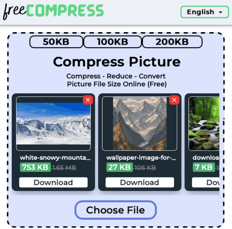 Compress Picture to 100KB Reduce & Resize Online! (Free)(04)