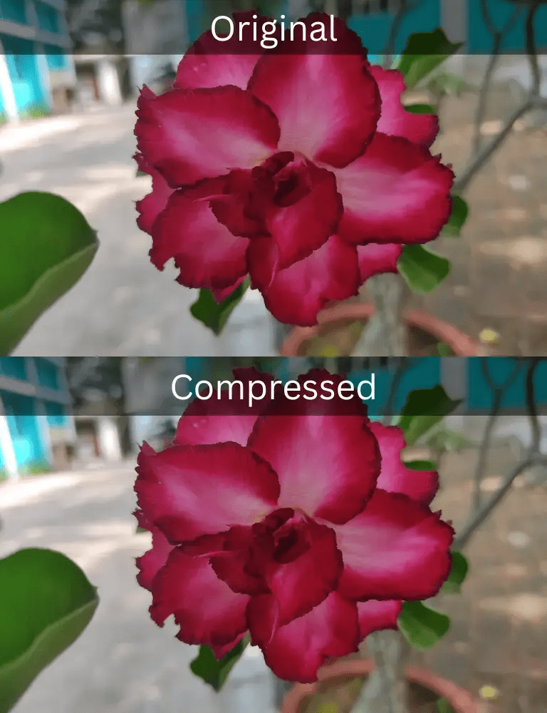 Compress JPEG Optimize Image Size Online! (For Free)