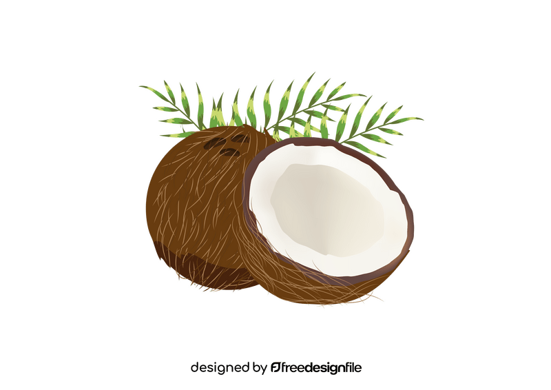 Coconut clipart free download