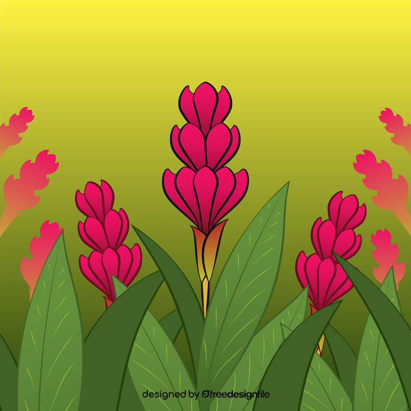 Ginger flower vector free download