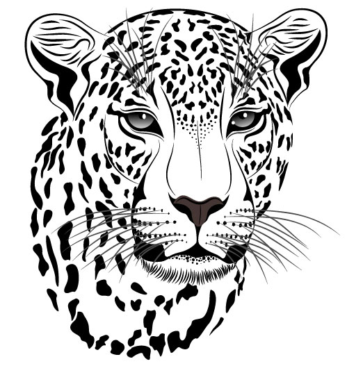 Set of Cheetah vector picture art 14 free download