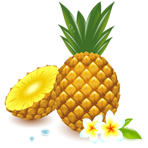 Fresh Pineapple vector graphic free download