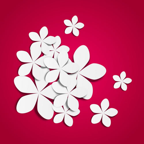 White paper flower vector 02 free download