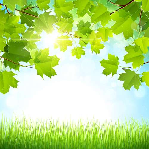 Sunlight with nature background art vector free download