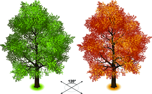 Creative isometric trees design vector 04 Vector Plant