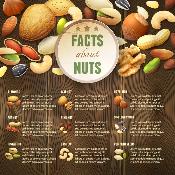 Nuts menu template vector free download