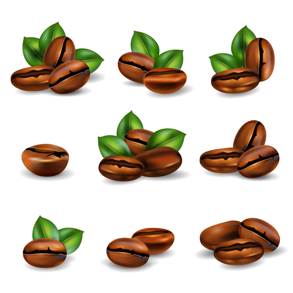 coffee beans set realistic vector free download