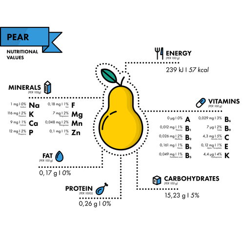 Pear nutritional Information vector free download