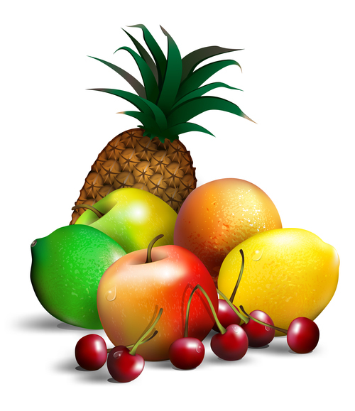 Tropical fruit vector illustration free download