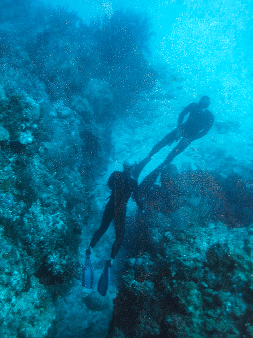 114 Tom Ardavany Inside the Medical Team The Freedive Cafe