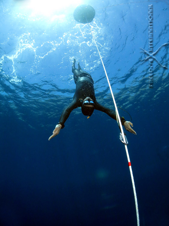 Freediving Master Program With Freedive Dahab