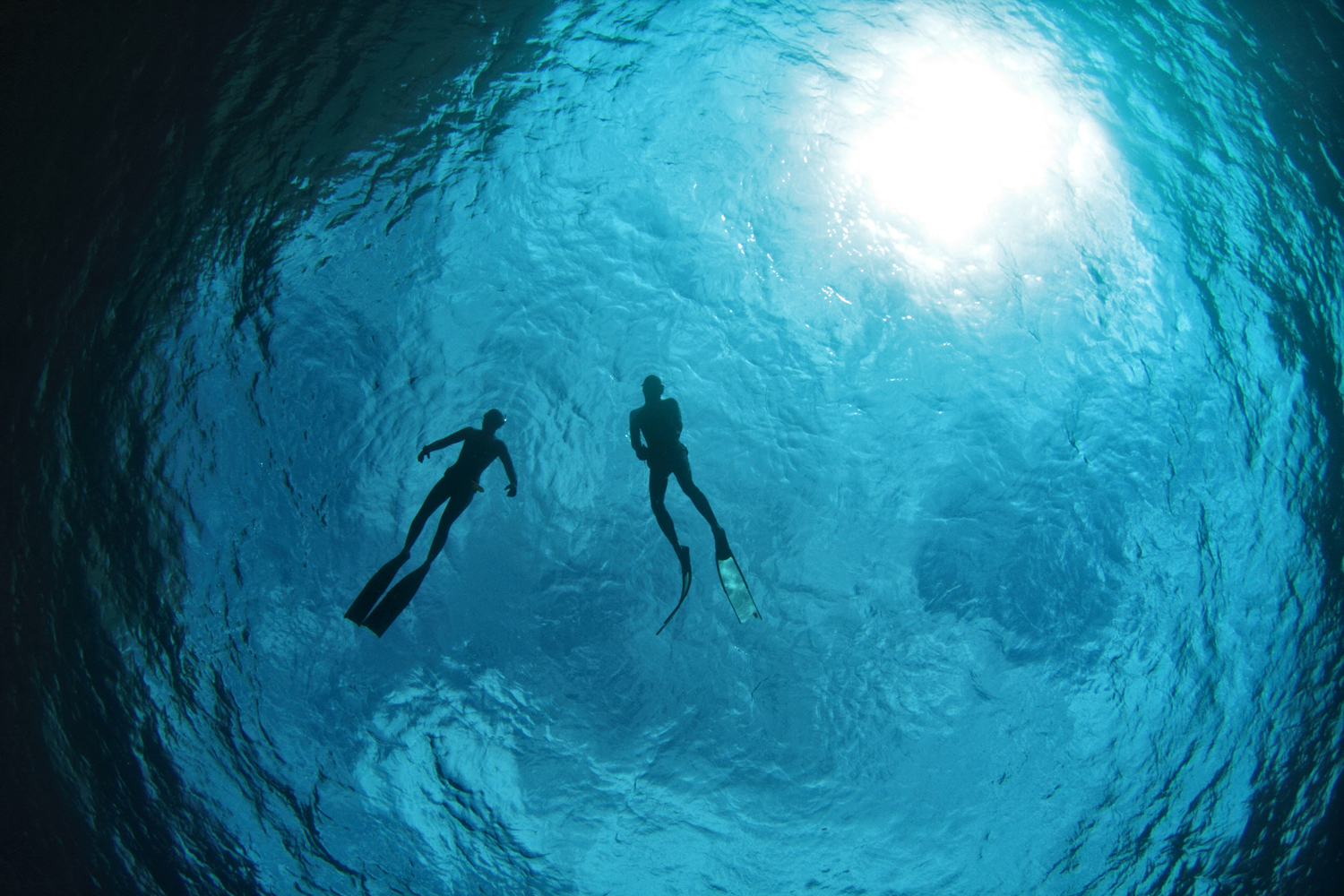 Freediving Packages In Egypt With Freedive Dahab