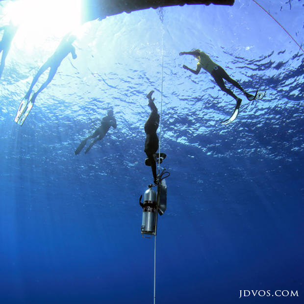 FAQ4 Which Freediving Disciplines are there? FreeDive International