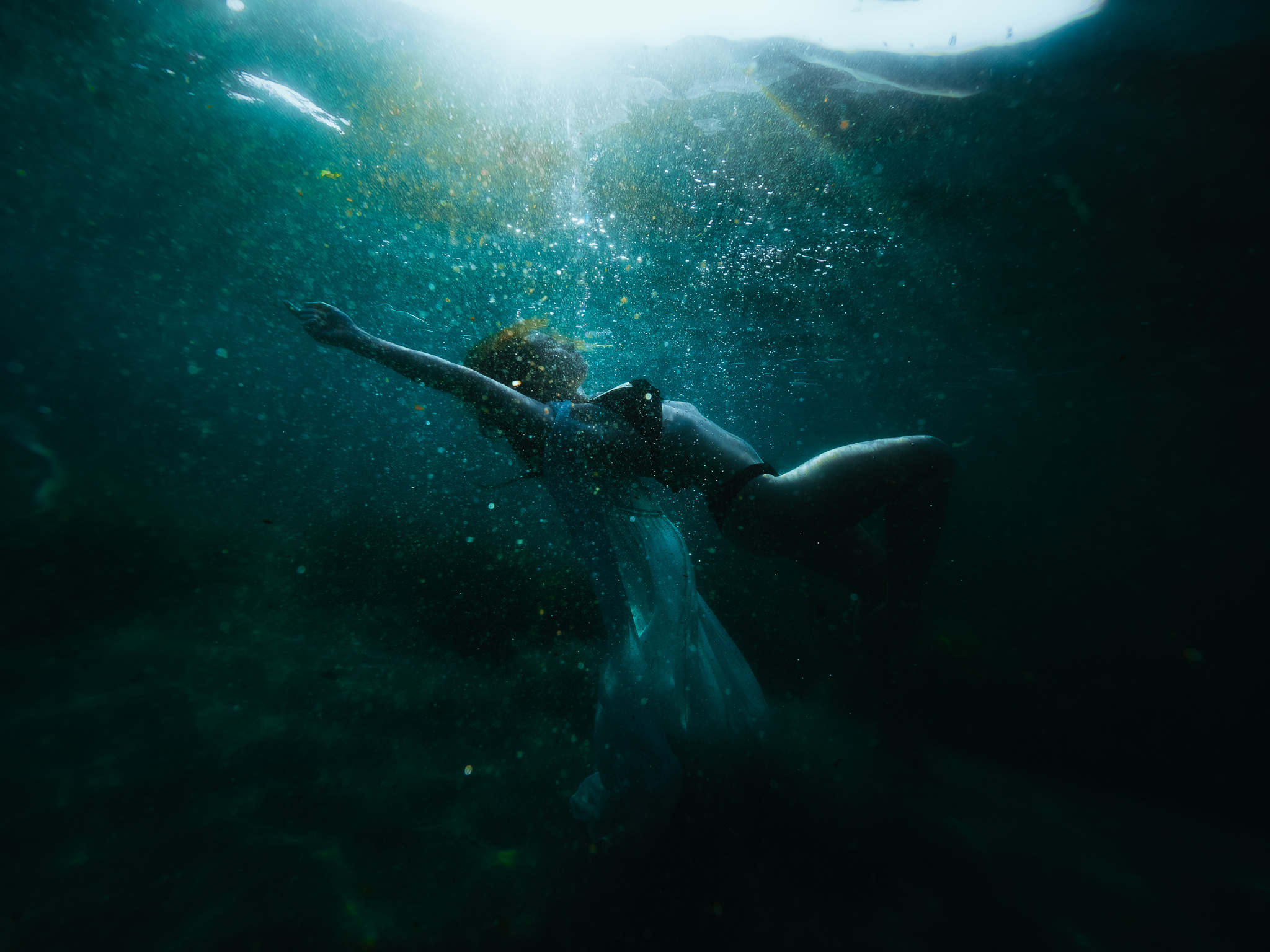 Underwater Photography Course Freediving Central