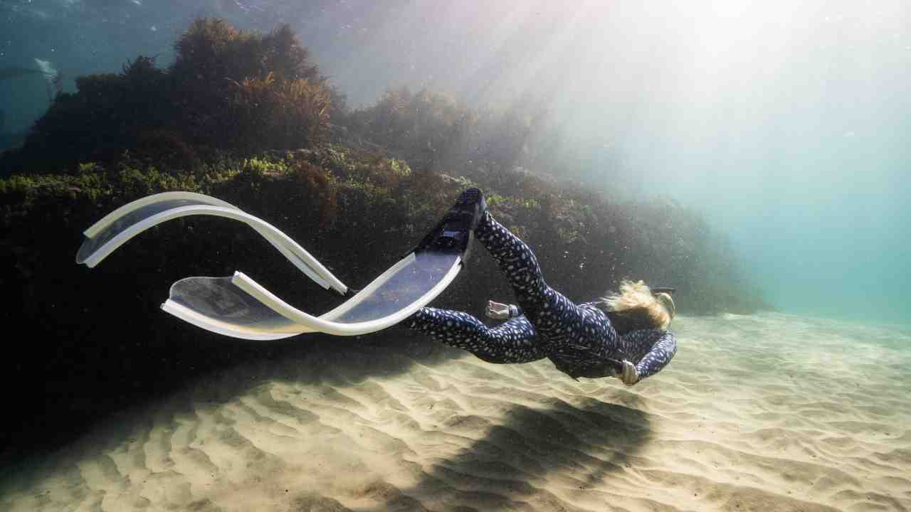 Freediving vs. Scuba Diving Understanding the 5 Main Differences