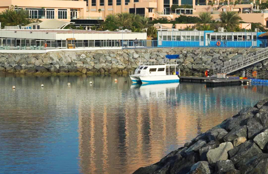 Freediving UAE East Coast Freediving in United Arab Emirates