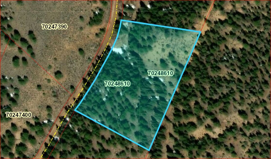 Head For the Mountains! Freedom Land Group