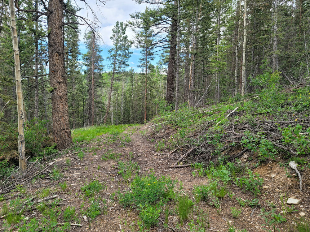 🌞 Fort Garland, Colorado 8.2 Acres Prime Hunting & Camping Land