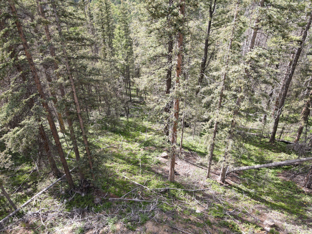 🌞 Fort Garland, Colorado 8.2 Acres Prime Hunting & Camping Land