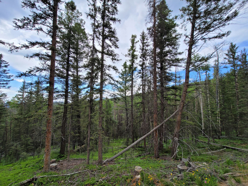 🌞 Fort Garland, Colorado 8.2 Acres Prime Hunting & Camping Land