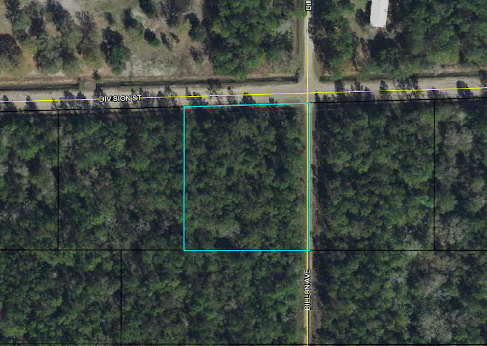 🌴 Bunnell, Florida Division St 1 Acre Corner Lot Build Your Dream Home! Freedom Land Group