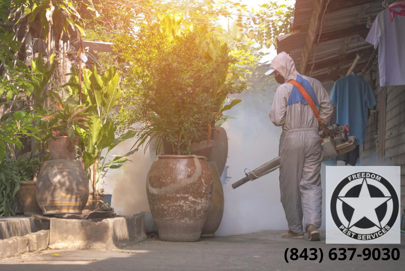 Mosquito Control Near Me Pest Control Service Freedom Pest