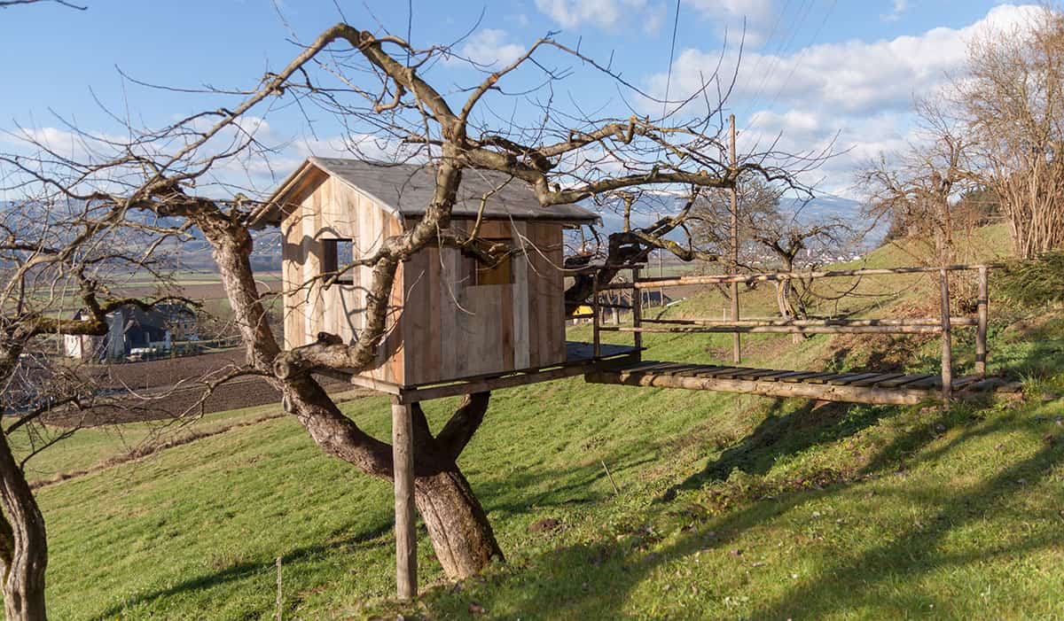 What Happens to a Treehouse When the Tree Grows? Freedom Residence