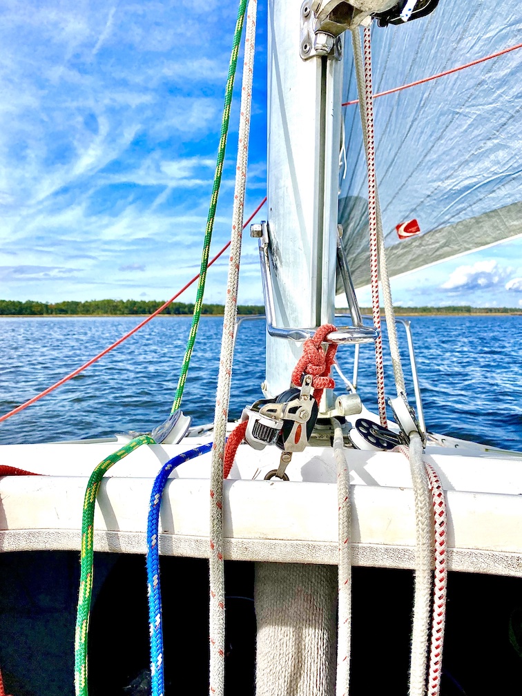 Access Wilmington Sail Day 11/18/21 Freedom Sailing