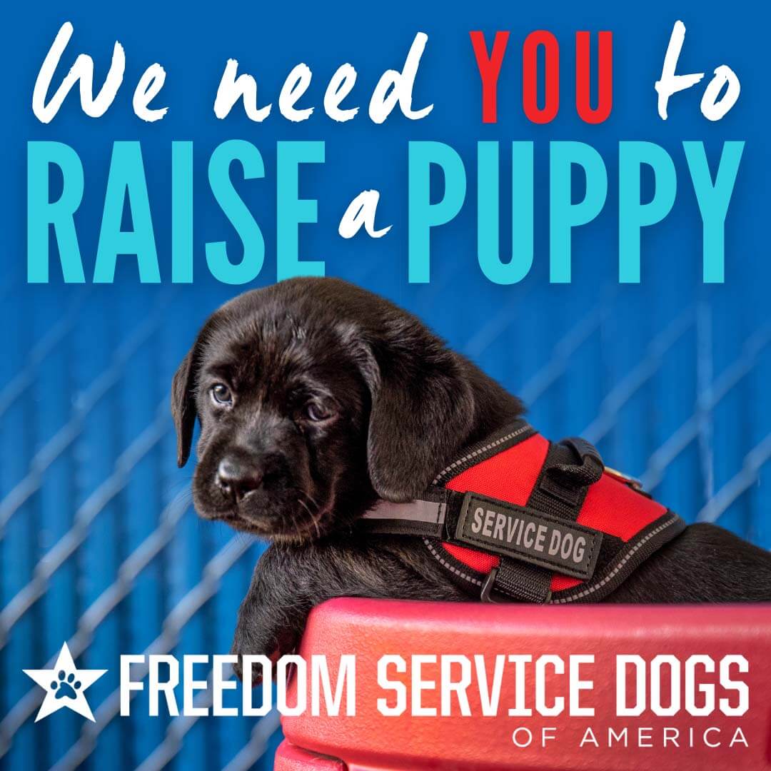 Volunteer - Freedom Service Dogs