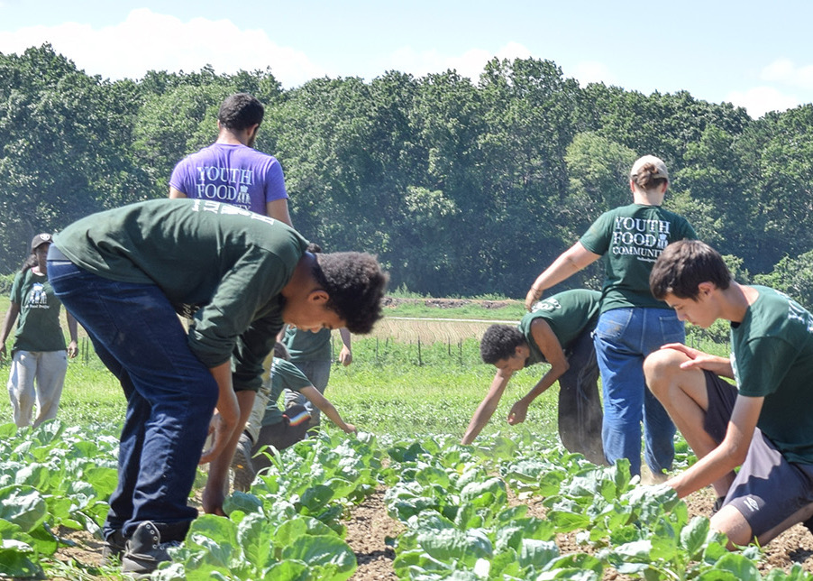 The Food Project at Baker Bridge Farm Freedom's Way National Heritage