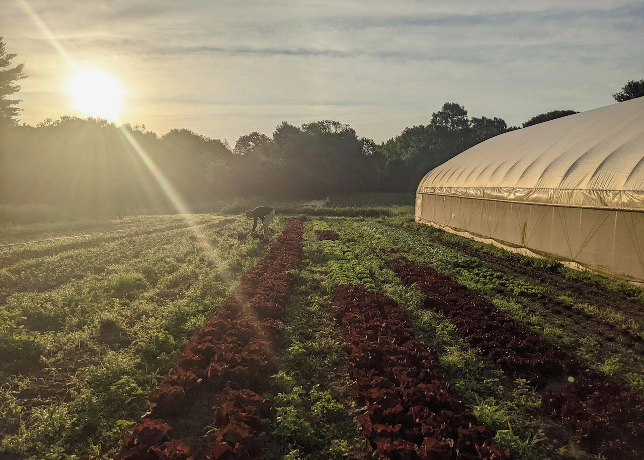 Small Farm Freedom's Way National Heritage Area