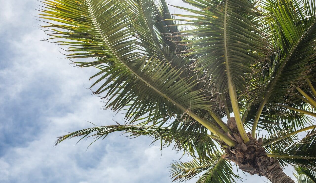 Florida Assistance Programs Free Financial Help