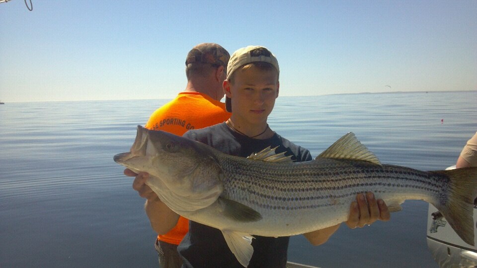 Massachusetts Fishing Report Striper action holds on