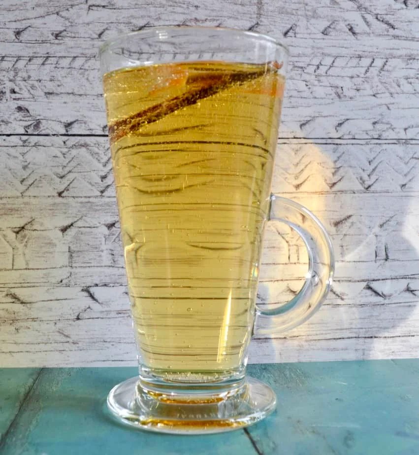 Mulled Apple Cider (Gluten Free, Dairy Free)