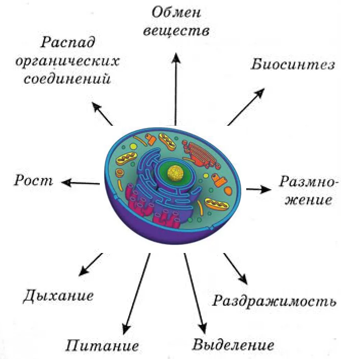 Подведём итоги. Глава 1 — Учимся создавать проекты, модели, cxeмы — 2