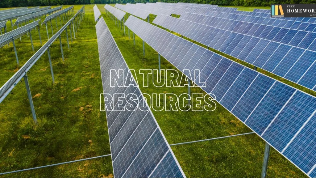 Resources Class 8 Geography Chapter 1 Easy Concept