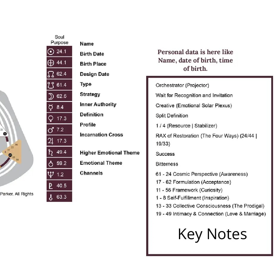Beginner’s Guide to Human Design Charts How to Read and Understand