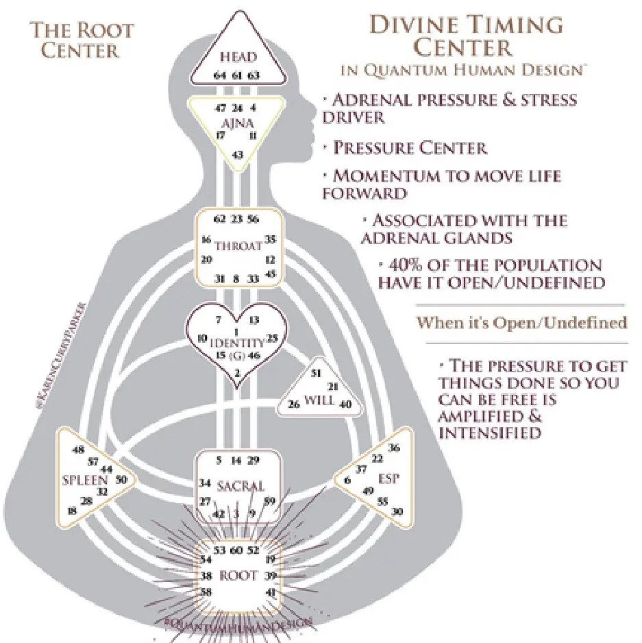 Beginner’s Guide to Human Design Charts How to Read and Understand