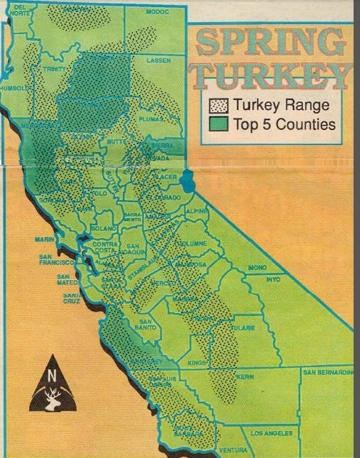 Fall and Spring Turkey Where to hunt Turkeys best areas California