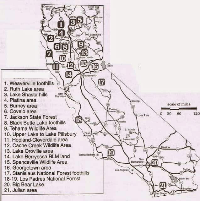 Fall and Spring Turkey Where to hunt Turkeys best areas California