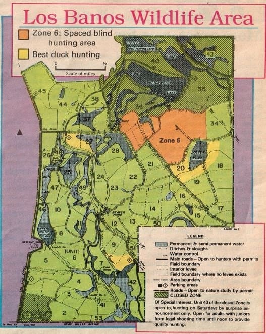 2019 Duck hunting California Los Banos Refuge hunting report and how to