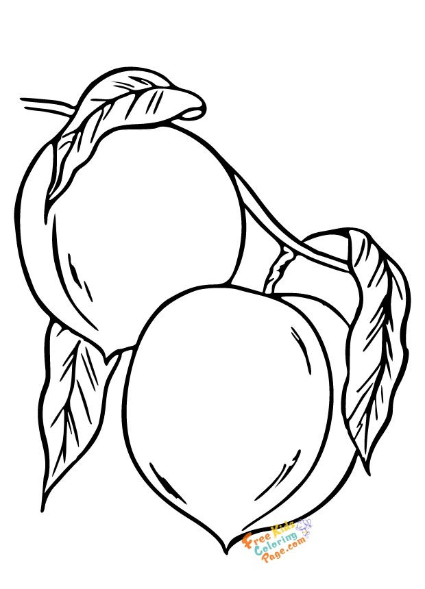 Peach fruit coloring page to print out Free Kids Coloring Page