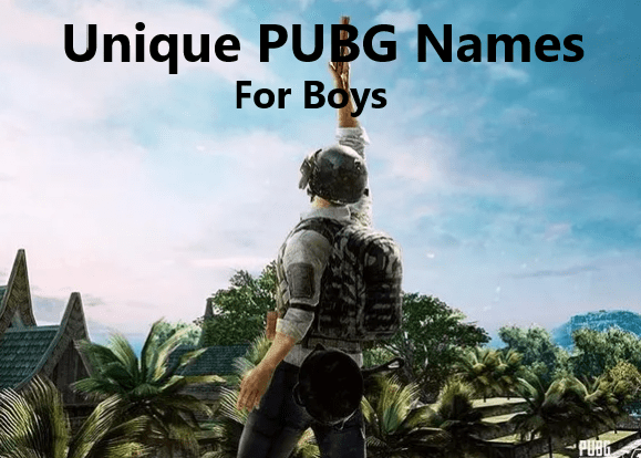 Best PUBG Names 500+ Unique Names for PUBG Free Knowledge