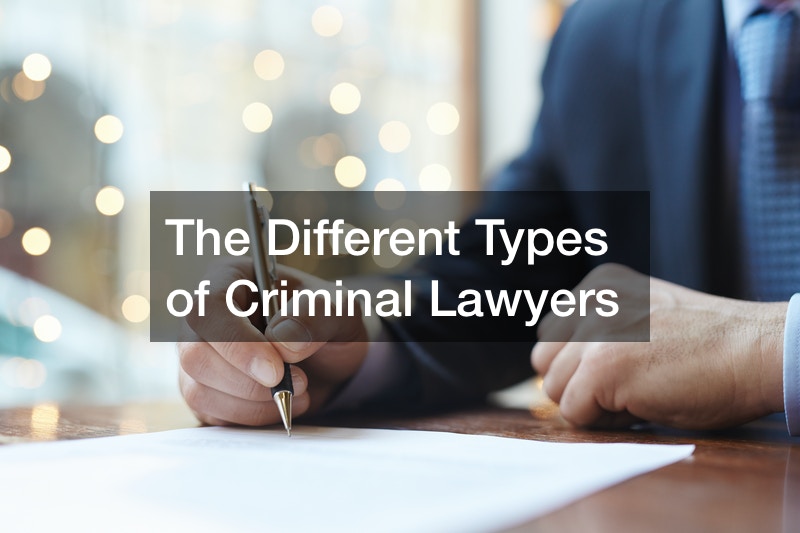 The Different Types of Criminal Lawyers Free Litigation Advice