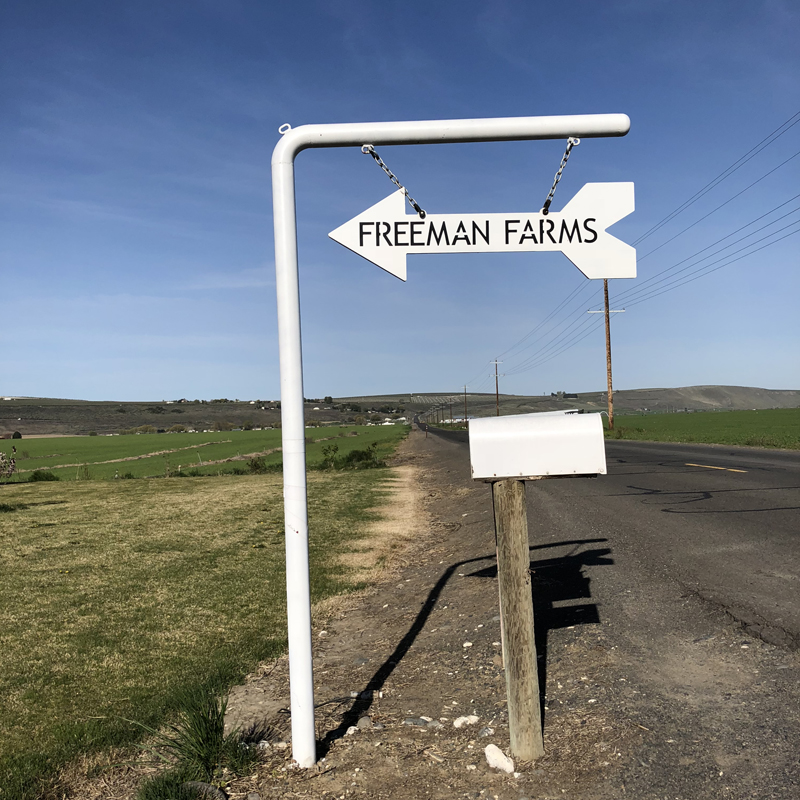 Home Freeman Farms