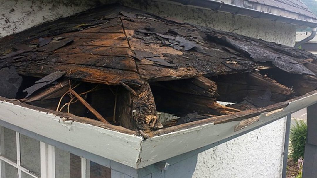 More Than Meets the Eye Freeman Roofing Pensacola