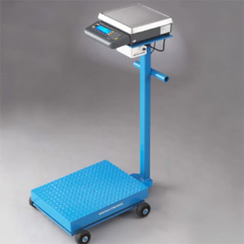 Portable Floor Scale Freeman Scale